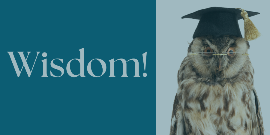 wise owl