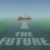The future